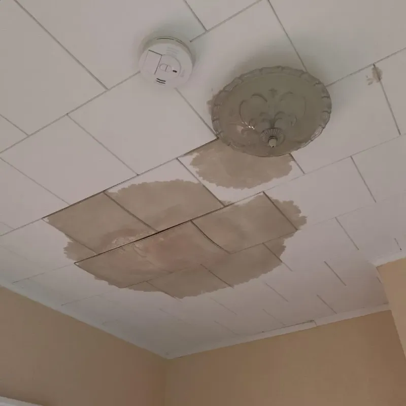 Ceiling Water Damage Repair in Forest Lake, MN