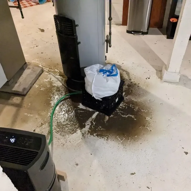 Sewage Backup Cleanup Service in Forest Lake, MN